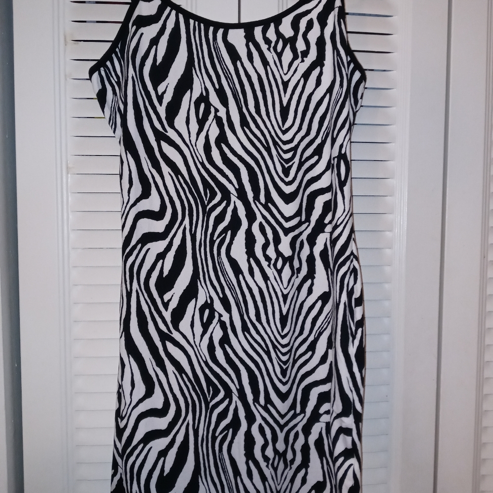 Sexy and Wild Zebra Print Dress, Size Large, Shein